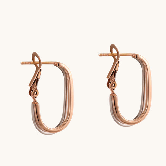 18kt Gold Dual-Tone Earrings. Affordable fine jewellery for women.