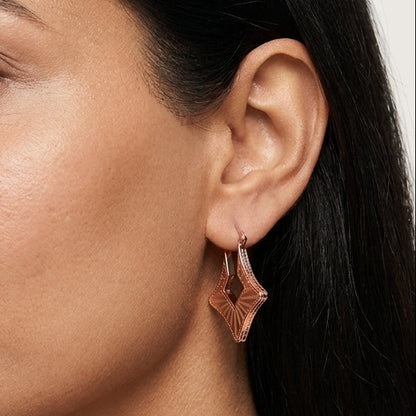 Geometric Gold Earrings