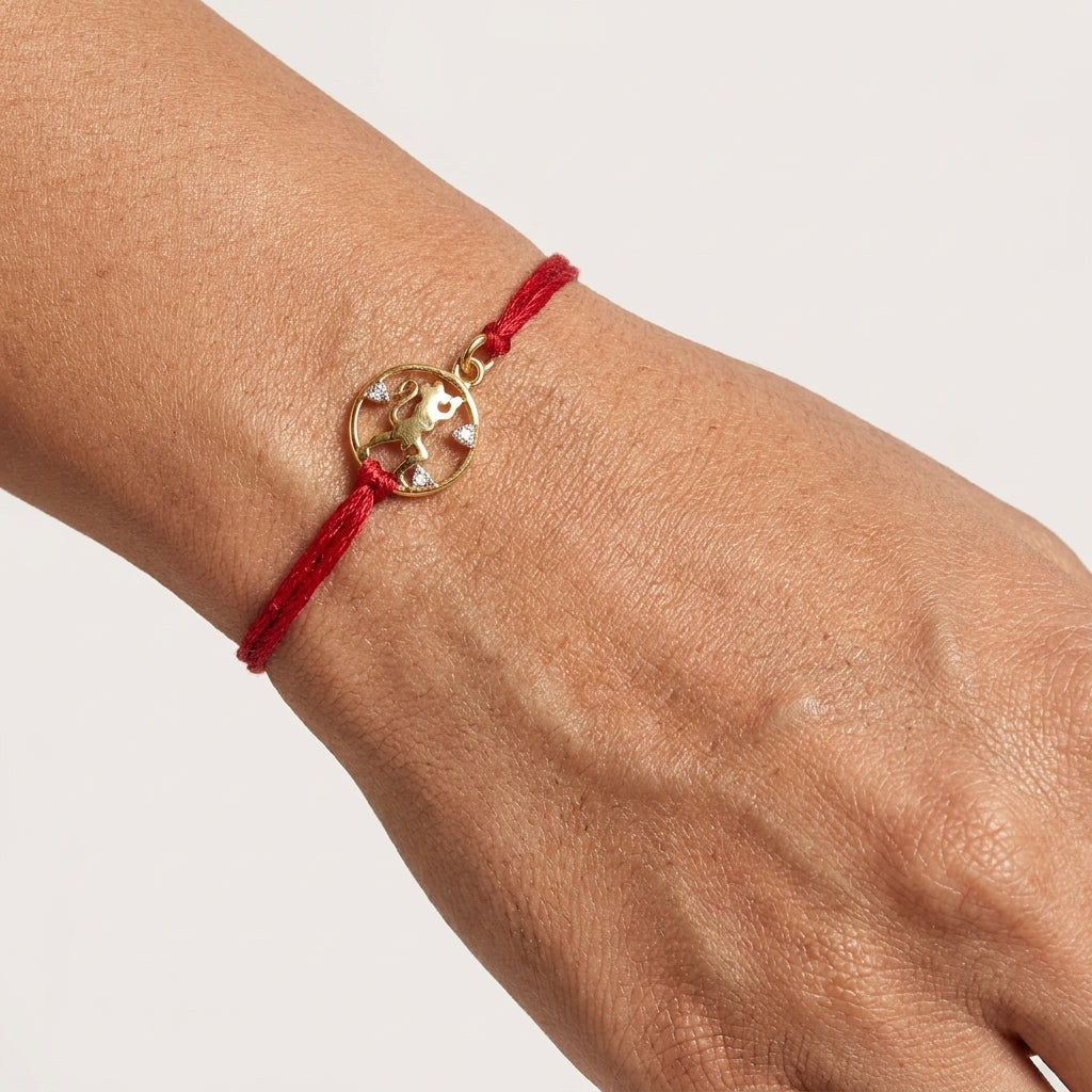 Hanuman Ji Rakhi