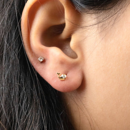 Caratly 18kt gold Gold Whale Earrings with 0.02ct diamond accent in a small aquatic whale stud design under Rs. 20,000